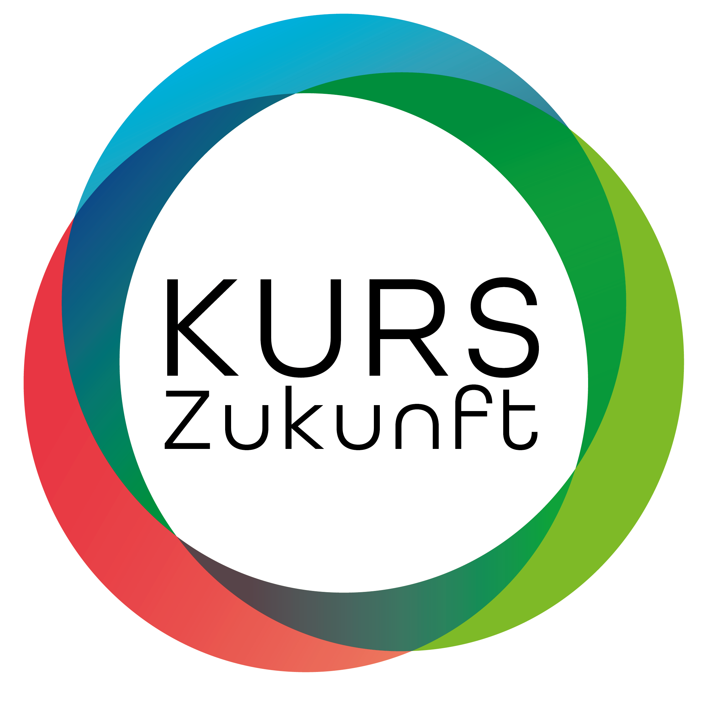 BDSchwenker Logo